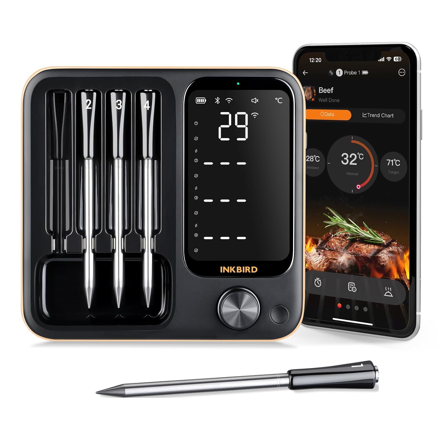 Inkbird IBS-TH2